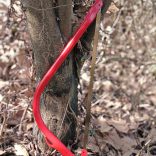 steck! Szénacél pengés lombfűrész