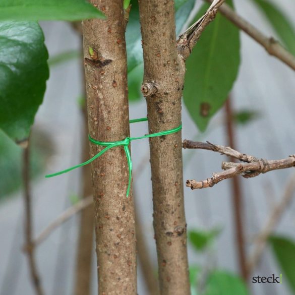 steck! Flexibilis kerti kötöző huzal vágóval, 20m