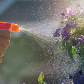 Permetező spray